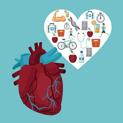 Sport bei strukturellen Herzerkrankungen 2: Arrhythmogene Kardiomyopathie
