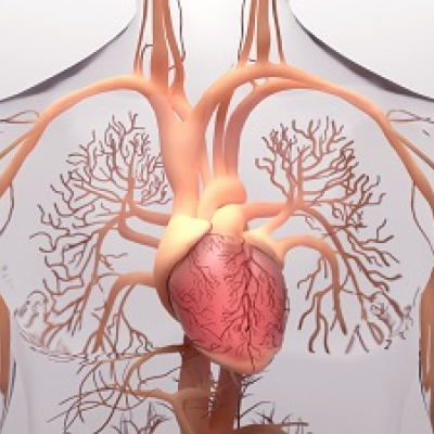 Sport bei pulmonaler Hypertonie, wie genau geht das?