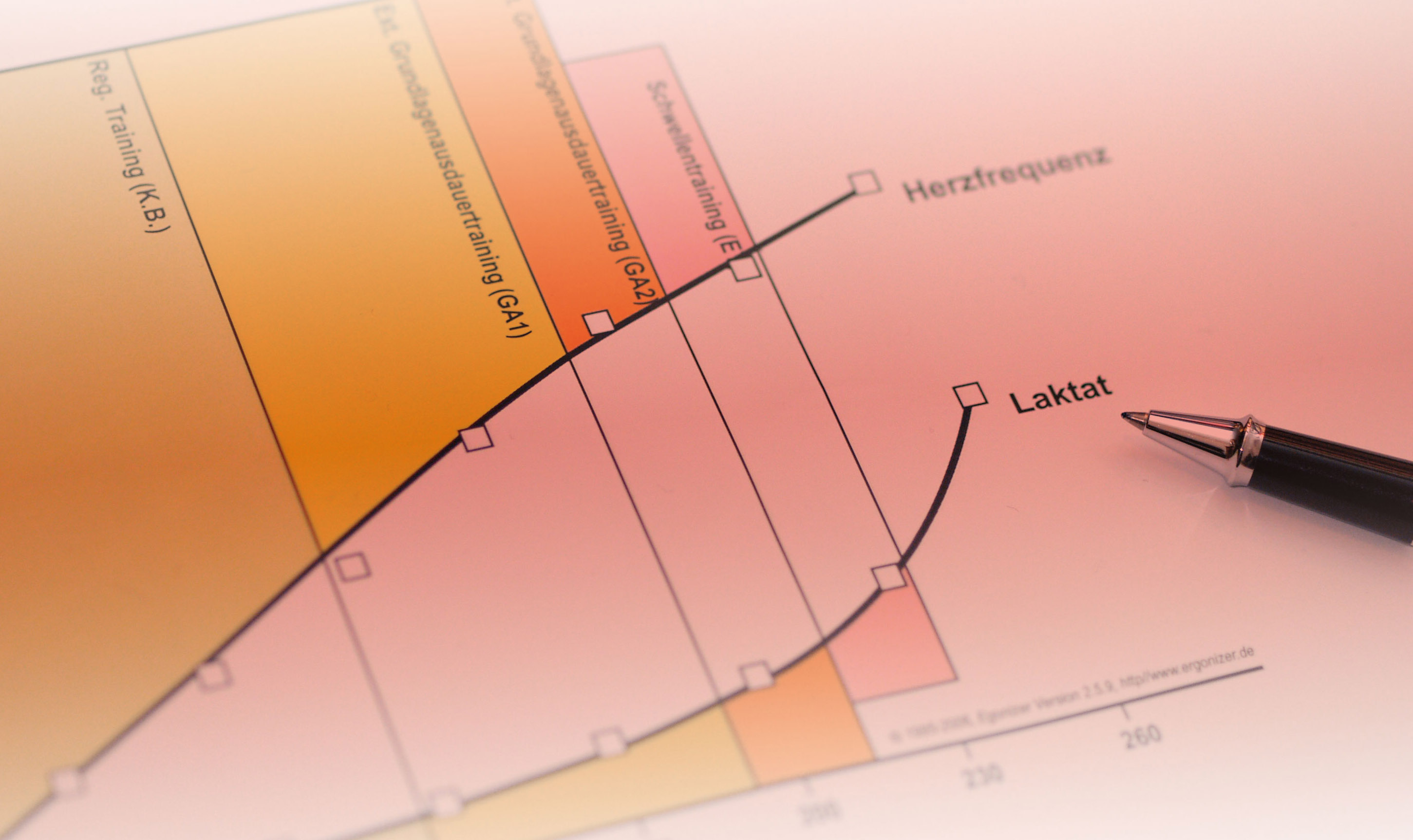 Leistungsdiagnostik