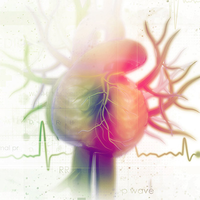 Cardiology and Metabolism